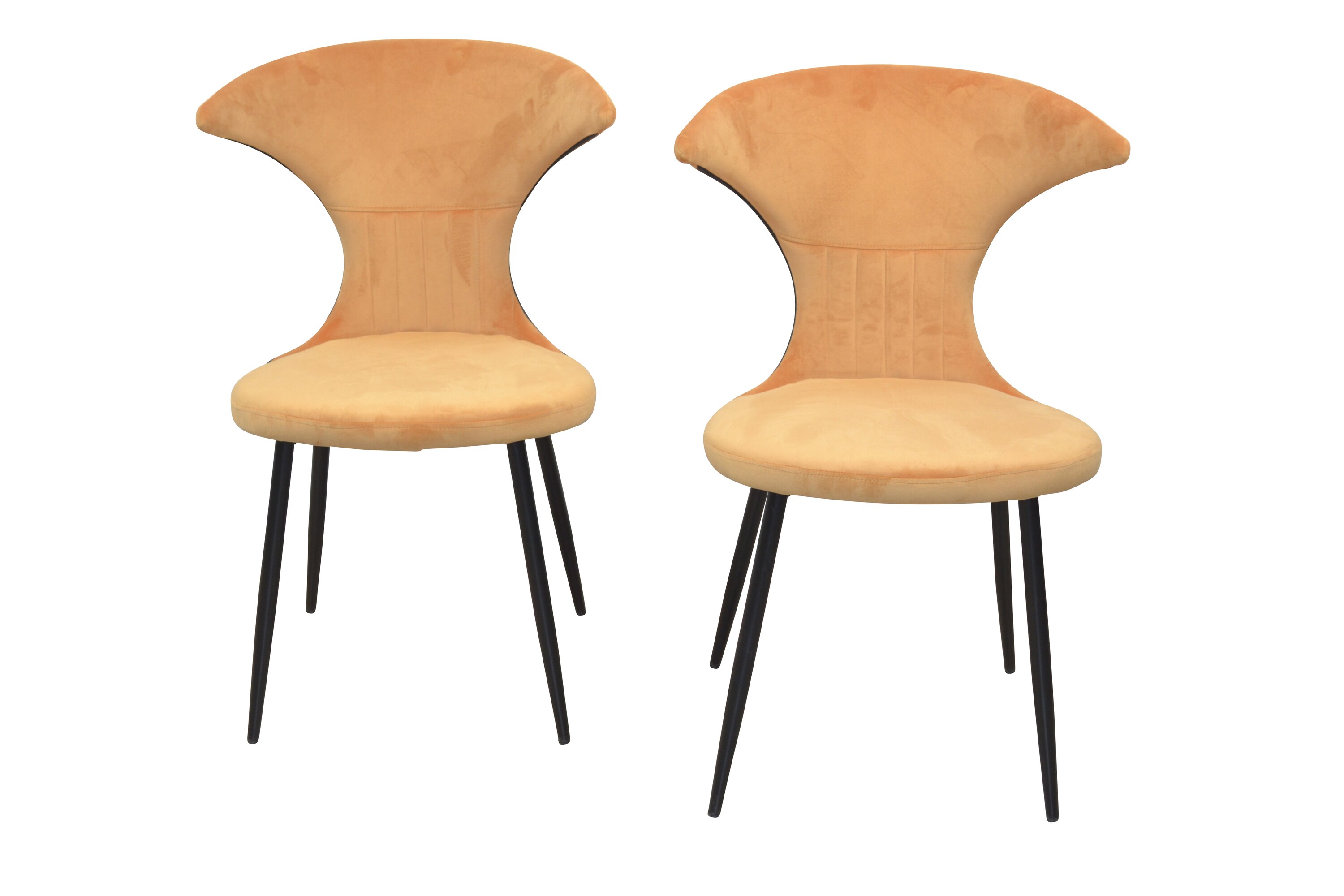 m&ouml;bel direkt online Samt-Polsterstuhl (2St&uuml;ck) Iris 