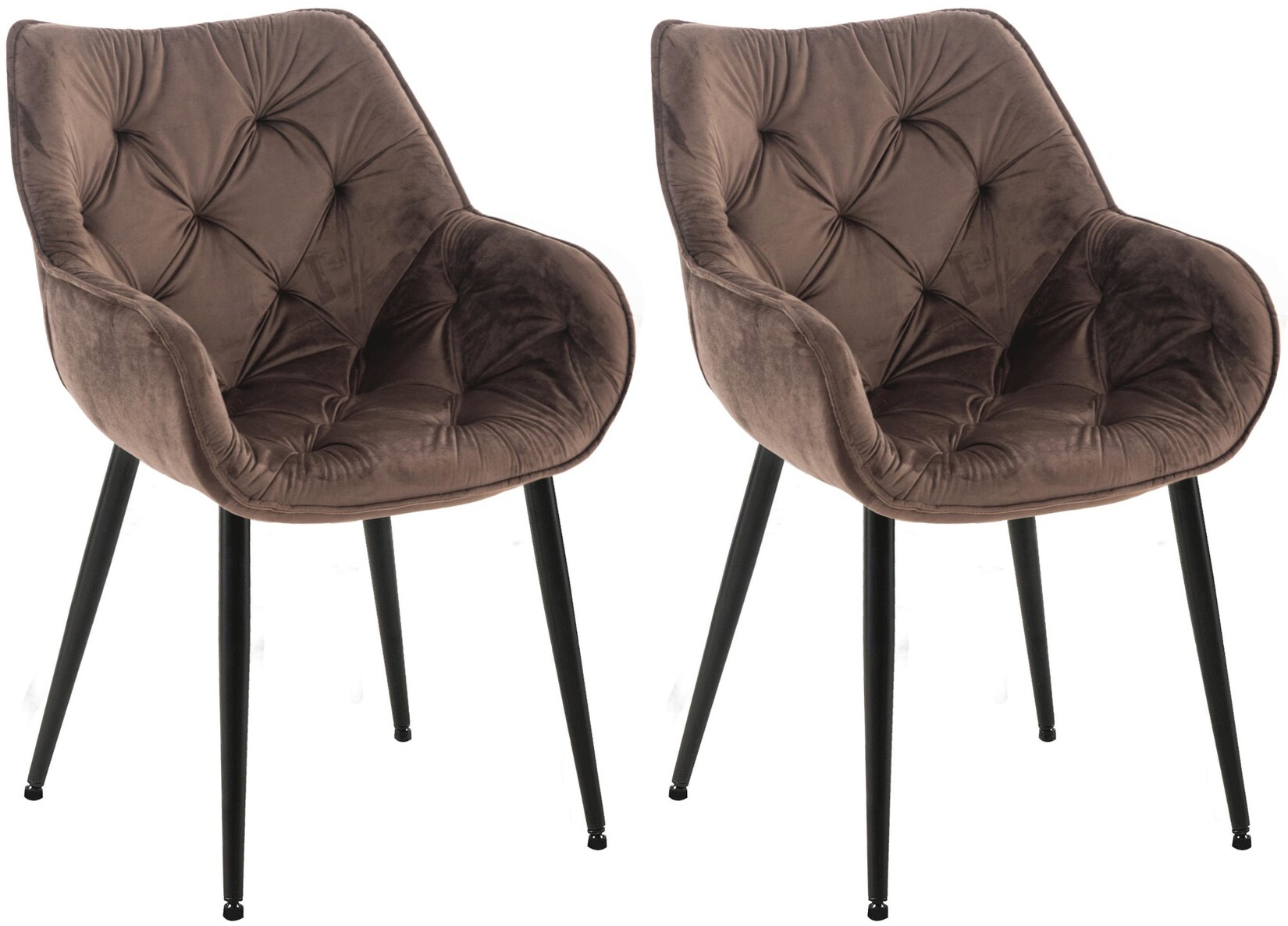 CLP 2er Set Stuhl Tanna Samt Farbe: braun