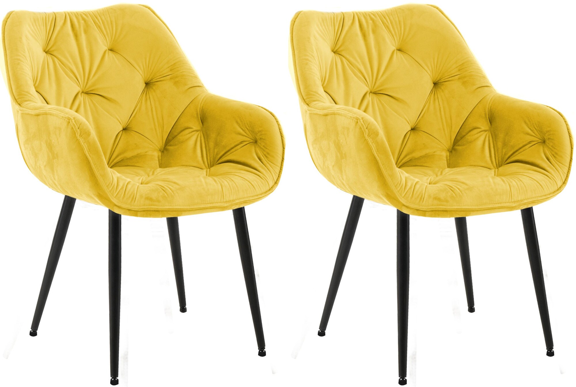 CLP 2er Set Stuhl Tanna Samt I Esszimmerstuhl Mit Armlehne I Gesteppter Polsterstuhl 