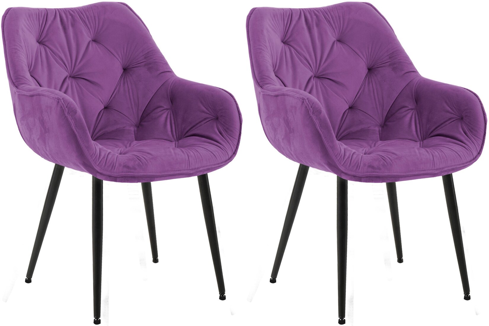 CLP 2er Set Stuhl Tanna Samt Farbe: lila