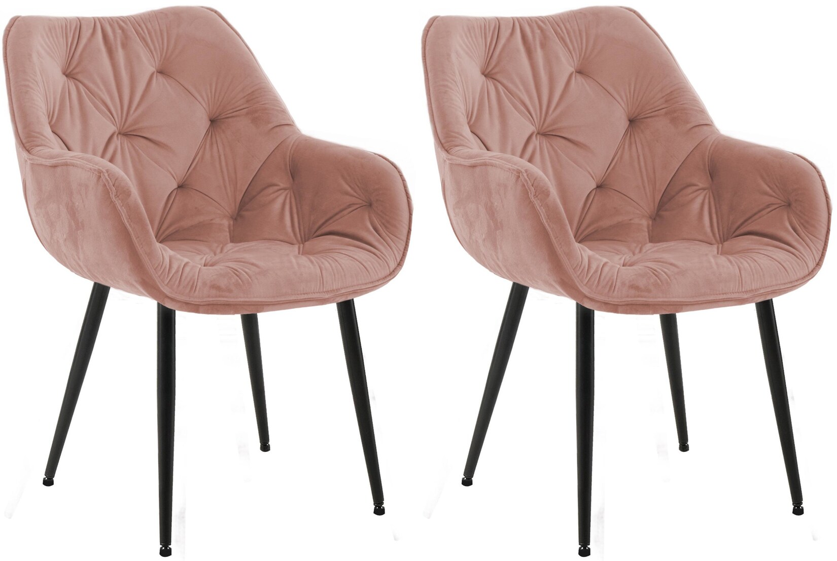 CLP 2er Set Stuhl Tanna Samt Farbe: rosa