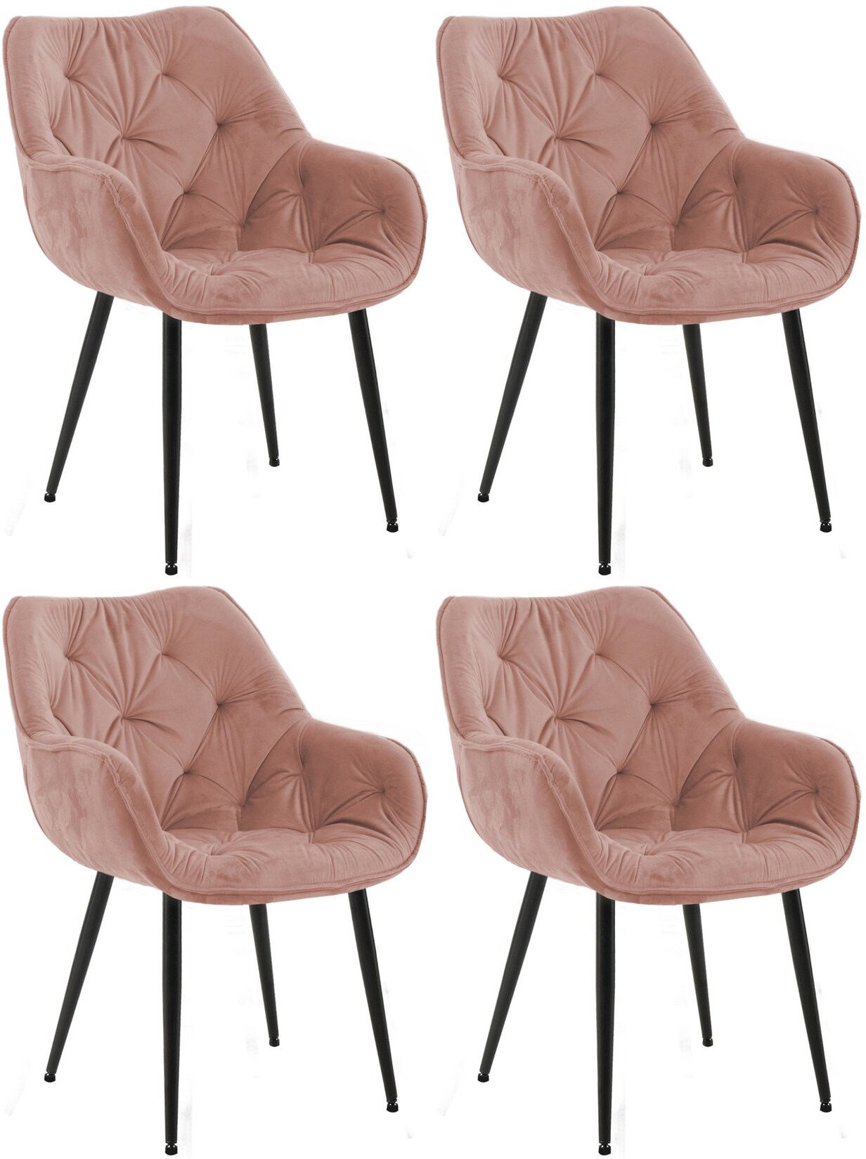 CLP 4er Set Stuhl Tanna Samt Farbe: rosa