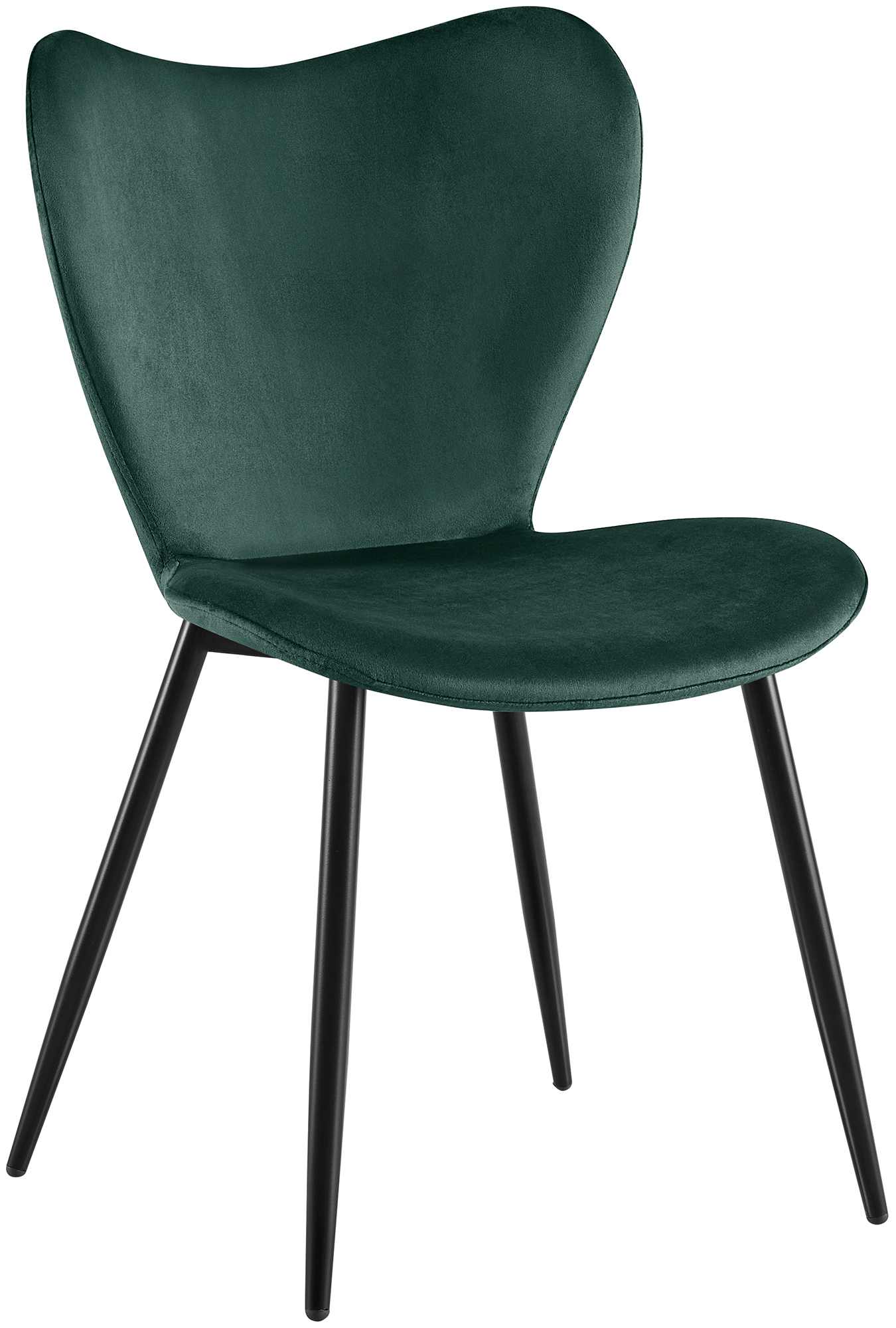 CLP Esszimmerstuhl Maika, Polsterstuhl mit Samtbezug oder Stoffbezug, K&uuml;chenstuhl mit Lehne und schwarzem Metallgestell, bis 150 kg 