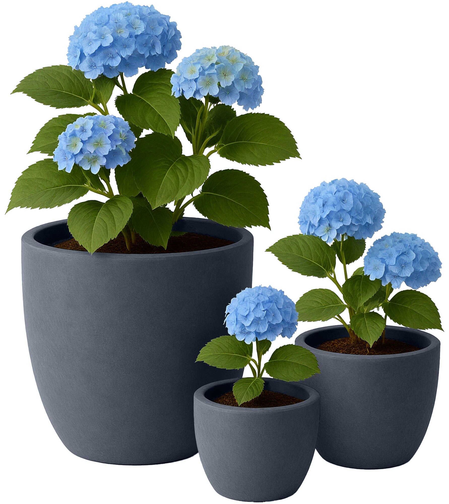 CLP Pflanzk&uuml;bel gro&szlig;, 3er Set f&uuml;r au&szlig;en und innen, Outdoor XXL Blumenk&uuml;bel rund, wetterbest&auml;ndig frostsicher in Steinoptik, winterfest 