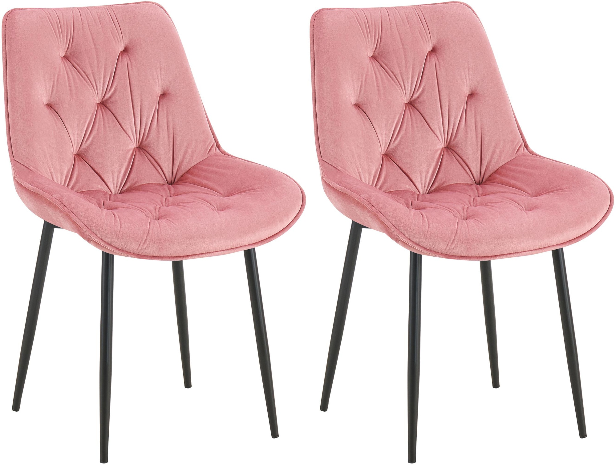 CLP 2er Set Esszimmerstuhl Wallace I Moderner Polsterstuhl mit Samtbezug & Steppung I Metallgestell I 120kg belastbar I Komfortabel 