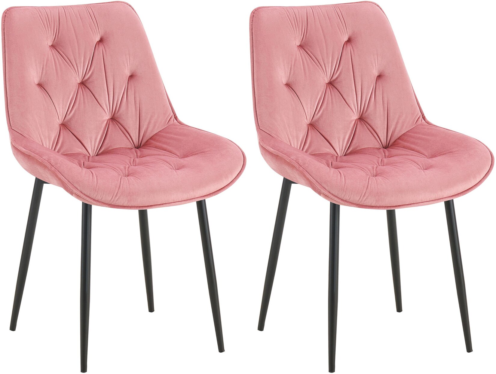 CLP 2er Set Esszimmerstuhl Wallace Samt Farbe: rosa