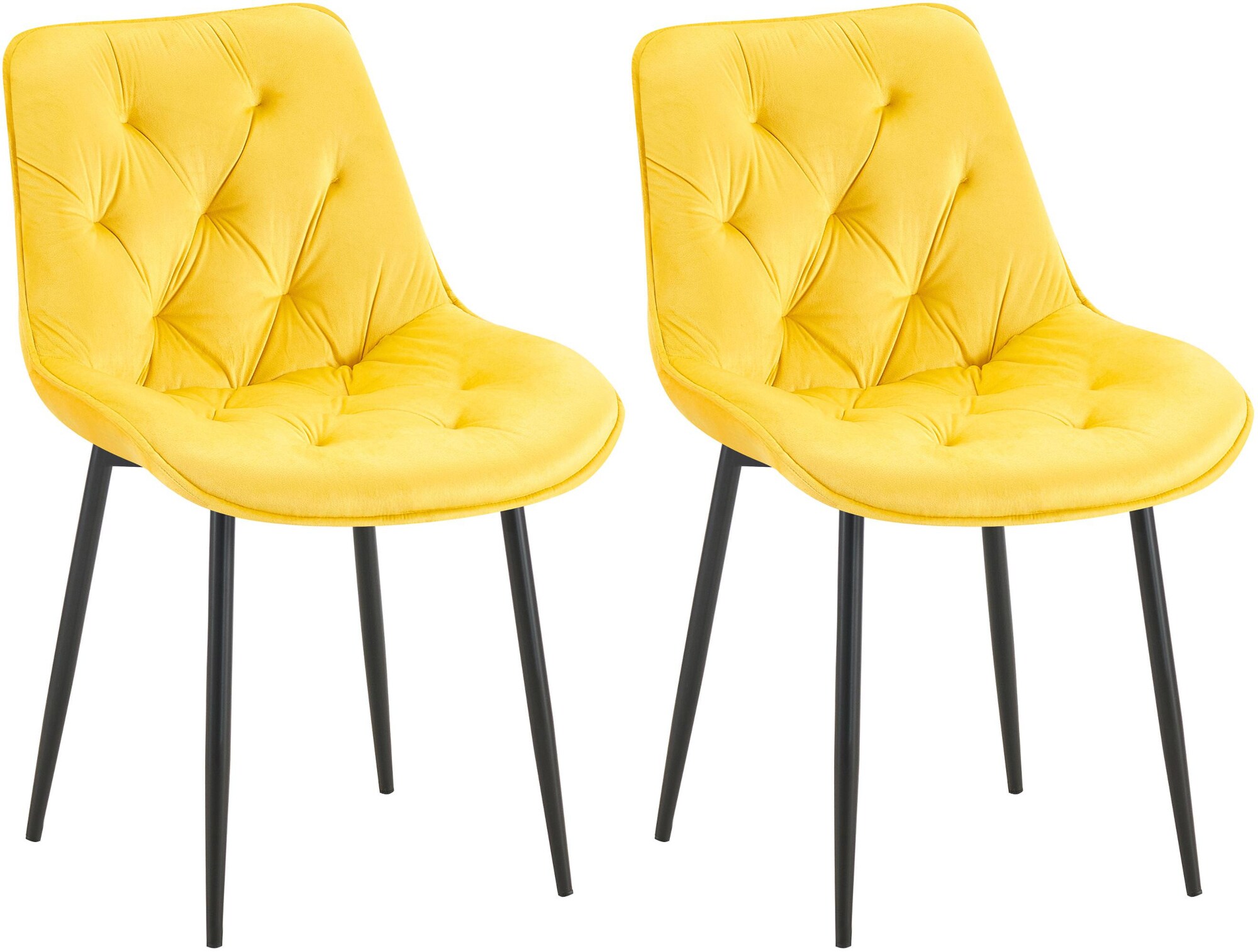 CLP 2er Set Esszimmerstuhl Wallace I Moderner Polsterstuhl mit Samtbezug & Steppung I Metallgestell I 120kg belastbar I Komfortabel 