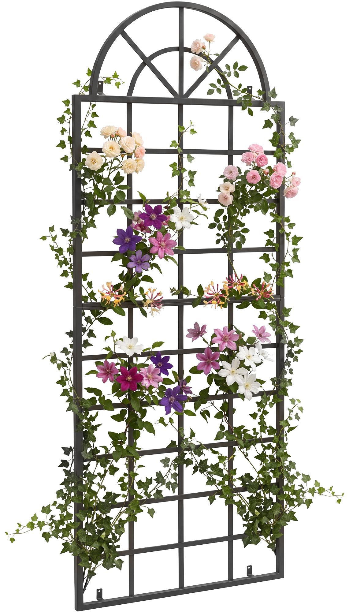 CLP Rankgitter Viva aus Eisen mit Rundbogen und integrierten Halterungen, ideale Kletterhilfe und Rankhilfe f&uuml;r Garten, Terrasse und Balkon 