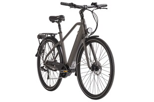 Hollandia Alu E-Citybike Herren Hollandia Mantova 28'' grau 7 Gänge 