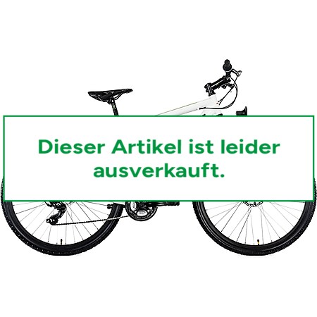 KS Cycling Mountainbike Hardtail ATB Twentyniner 29“ Heist weiß-grün 