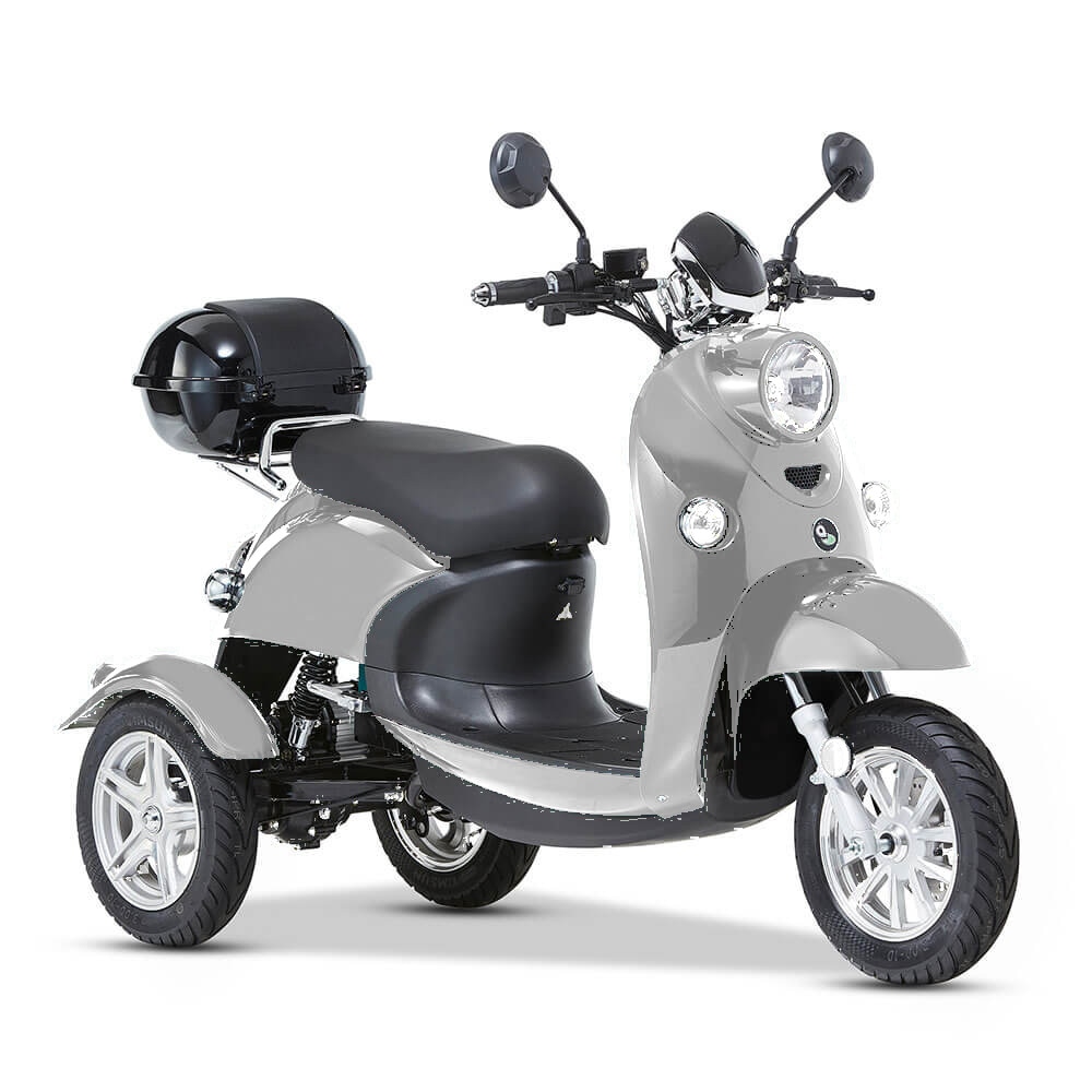 ENEWAY 3-Rad E-Mobil Modena II 25 km/h E-Trike ETrike Elektrofahrzeug Mobilit&auml;tsfahrzeug silber 