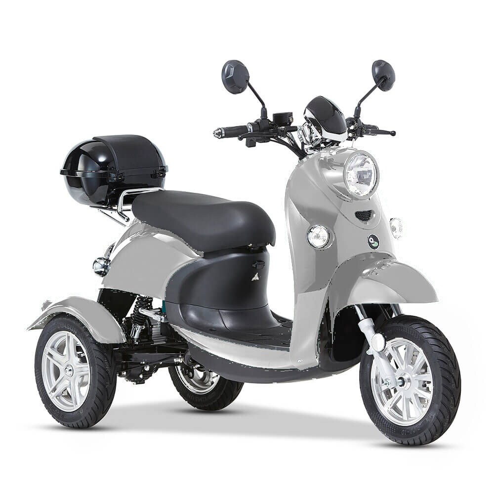 ENEWAY 3-Rad E-Mobil Modena II 25 km/h E-Trike ETrike Elektrofahrzeug Mobilitätsfahrzeug silber