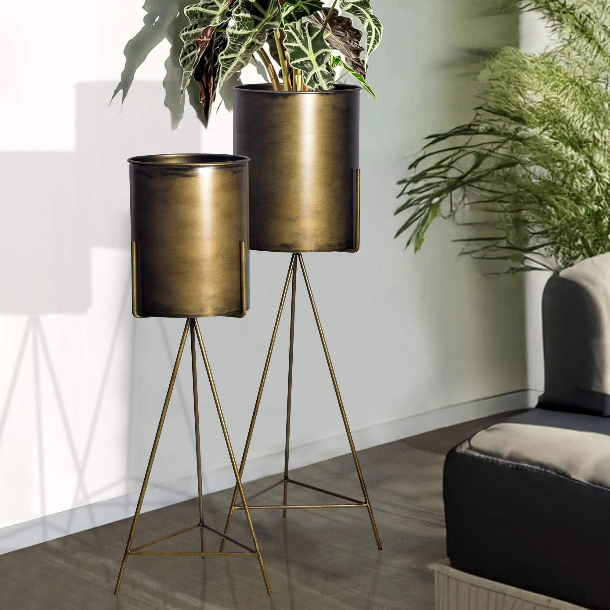 Blumentopf FineBuy Pflanzenk&uuml;bel 2er Set Metall Gold Rund Pflanzgef&auml;&szlig; Hoch Eisen 