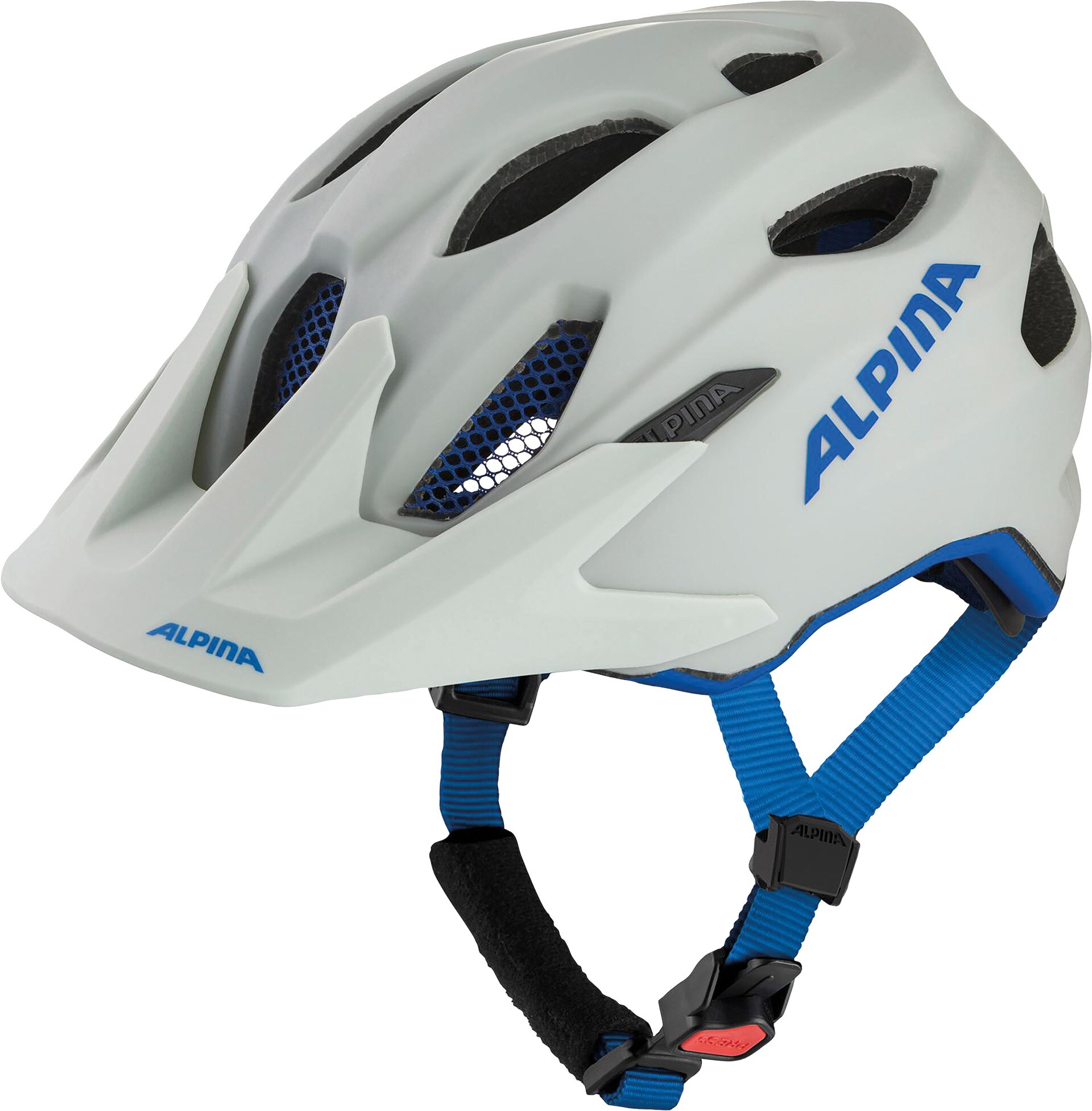 Alpina Kinder-Jugendhelm Carapax Jr., grau 