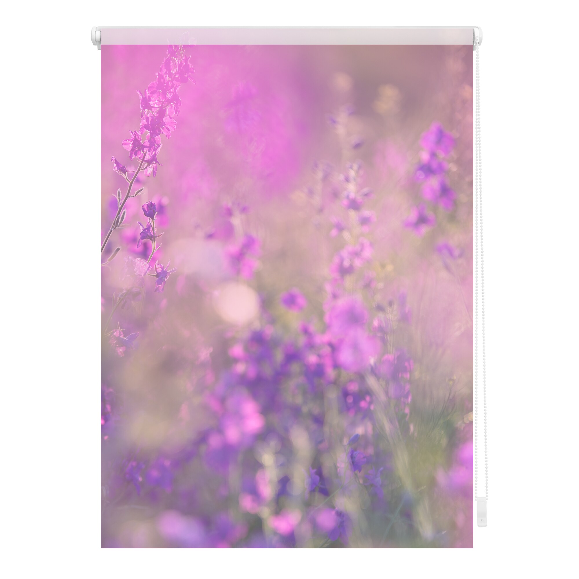 Lichtblick Rollo Klemmfix, ohne Bohren, Verdunkelung, Blumenwiese - Fuchsia Violett - Bild 1