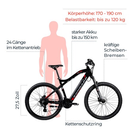 Zündapp Z898 E-Bike E Mountainbike 170 MTB online bestellen 24 Zoll 27,5 bei Marktkauf 190 Pedelec Hardtail Gang - cm