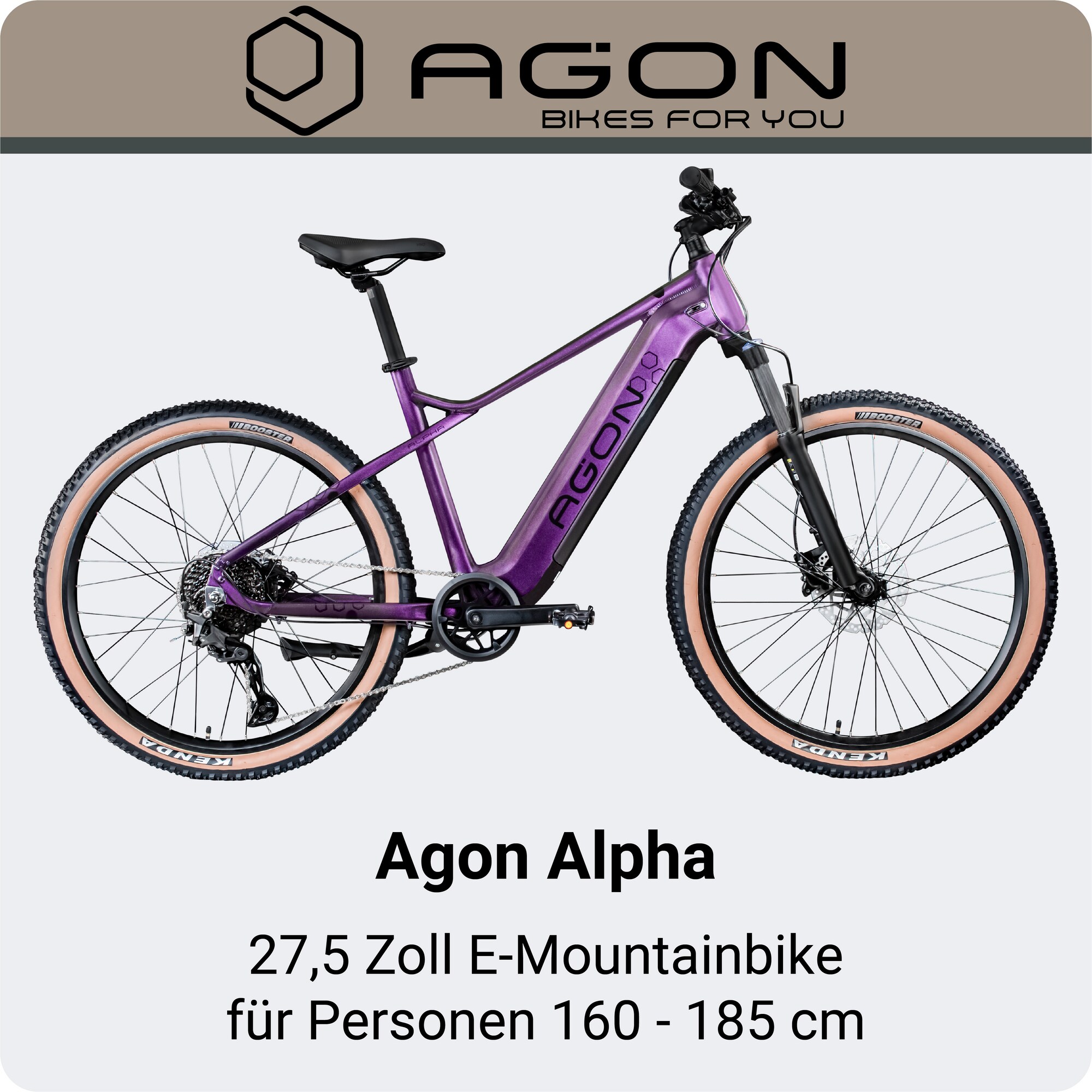 Agon Alpha E Bike Mountainbike Herren oder Damen 160 - 185 cm Pedelec 27,5  Zoll Hardtail MTB Trail mit Ananda Motor 10 Gang 540 Wh bei Marktkauf  online bestellen