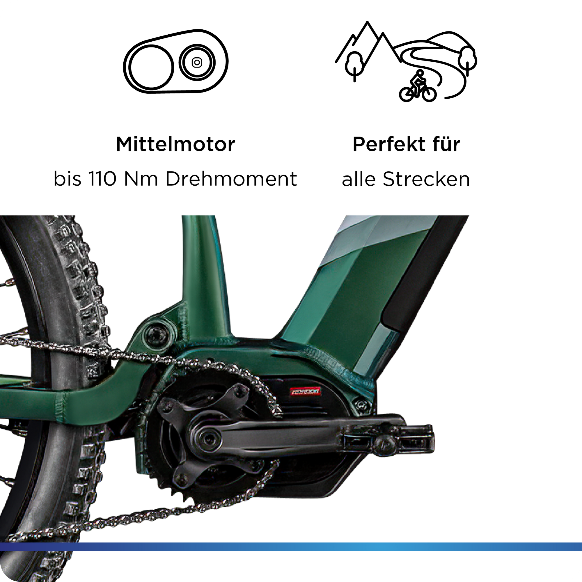 fahrradhelm mips damen Bell COAST MIPS Joy Ride Damen-Fahrradhelm  Sicher & Leicht