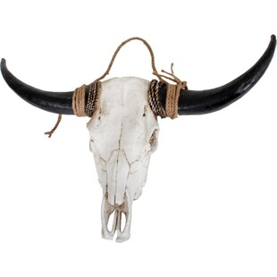 Bison Geweih weiß braun Jagdtrophäe Trophäe Gehörn Deko Wanddekoration Jagd 