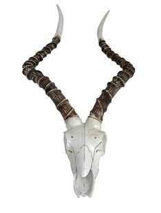Impalakopf Impala Wanddekoration Geweih Jagdtrophäe Gehörn Jagd Jagen Deko 
