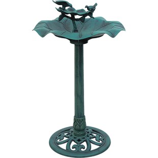 Vogeltränke Wassertränke Wasserschale Vogelbecken Vogelbad Vogel Tränke 