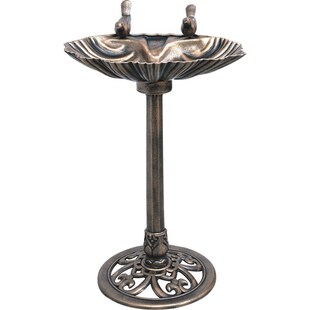 Vogeltränke Wassertränke Wasserschale Vogelbecken Vogelbad Vogel Tränke 