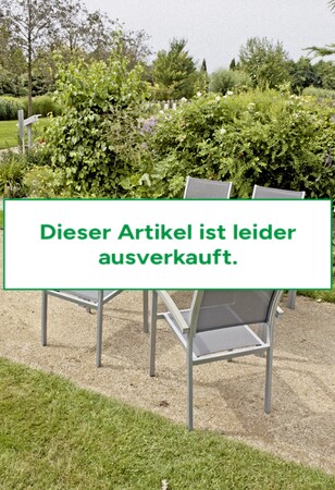 Marktkauf online Gartenstuhl Sessel Pleasure Balkon Möbel Garden bei Terrasse Stuhl 4x bestellen Alu Garten