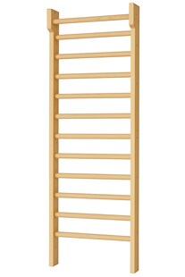 Holz Kletterwand 225x70cm Kinderzimmer Sport Sprossenwand Turnwand Wandleiter 