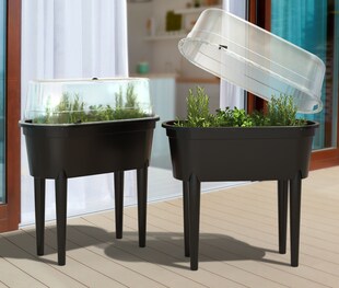 2x Hochbeet + Deckel 77cm Balkon Kasten Beet Kräuter Pflanzkasten Gewächshaus 