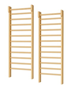 225x70cm Solide Holz Kletterwand Sprossenwand Massivholz 100 Kg belastbar Sport 