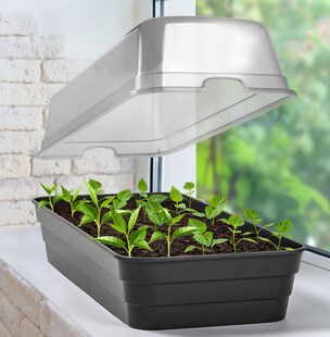 Aufzuchtbeet Deckel Beet Frühbeet Mini Gewächshaus 