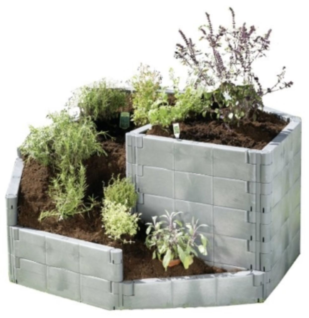 Kr&auml;uterschnecke Kr&auml;uterspirale Kr&auml;uter Gr.1 