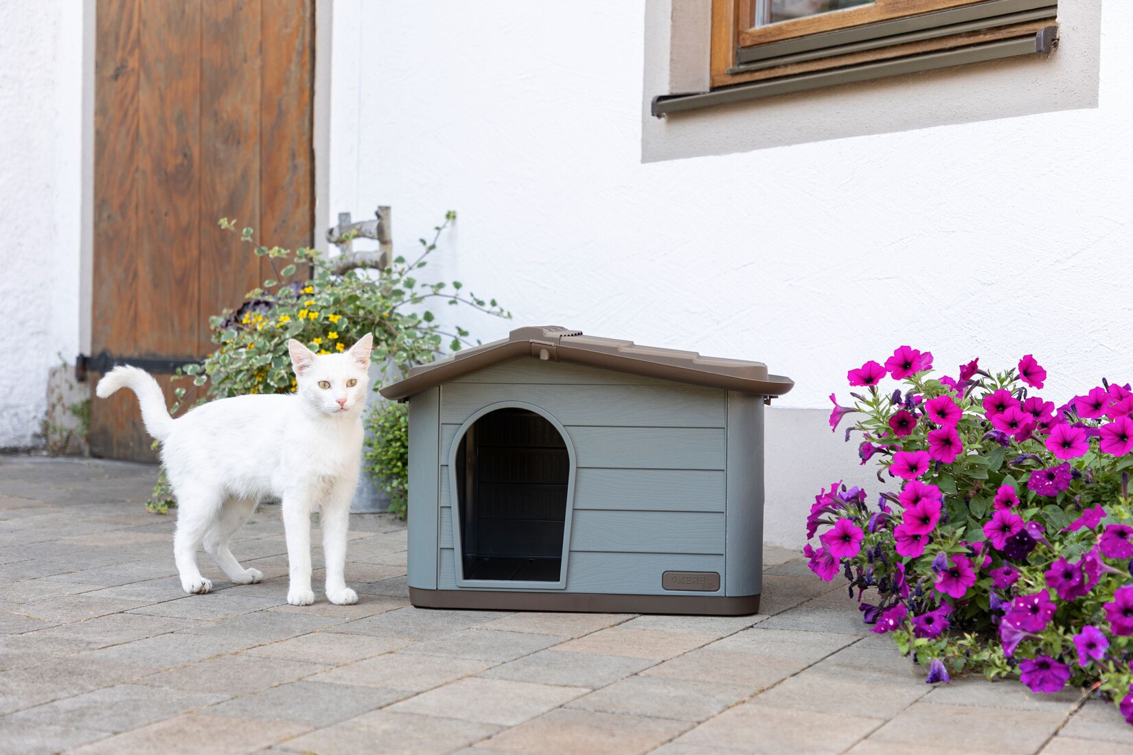 Katzenhaus Paola Eco (auch geeignet für kleine Hunde, 60 x 51 x 41 cm)