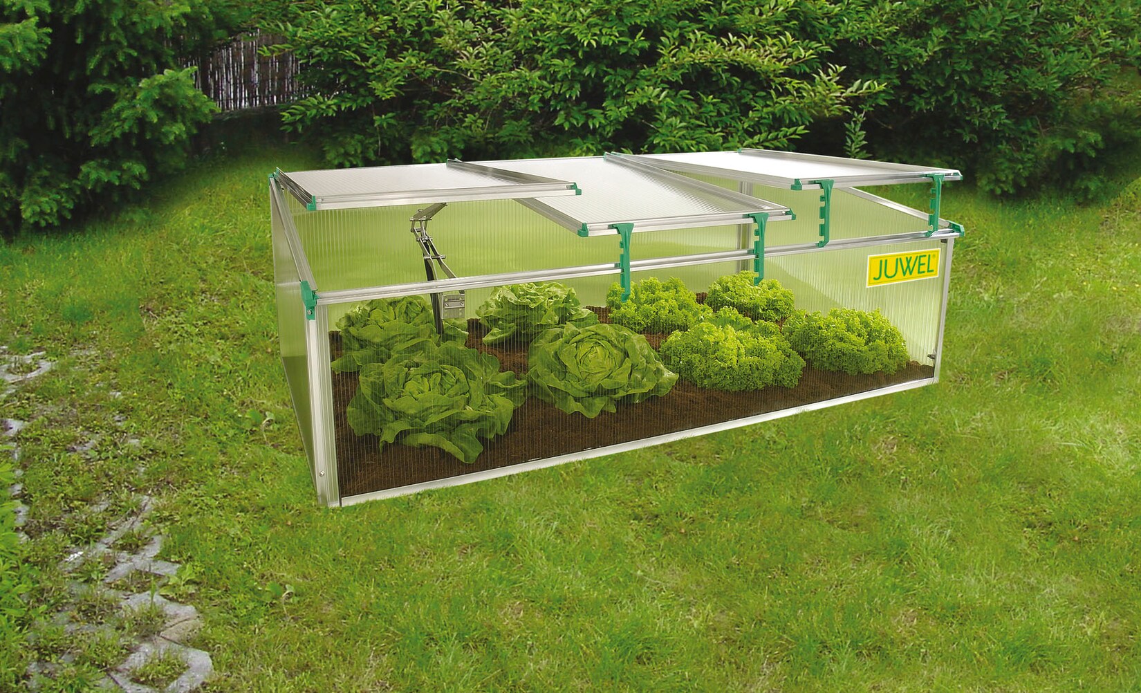 Juwel Premium-Frühbeet BIOSTAR 1500