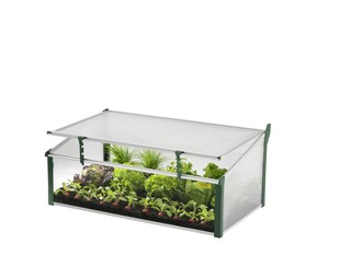 Juwel Frühbeet Gewächshaus Easy Fix + Fensterfixierung, Größe 100x60x40 cm 