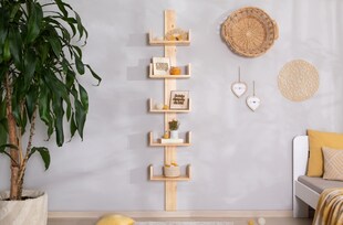 TiCAA Mehrzweckregal Pepe Kiefer Massiv 