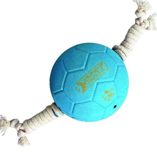 Hundespielzeug Ball mit Tau - Hellblau 