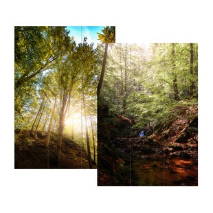 HTI-Living Paravent Wald 