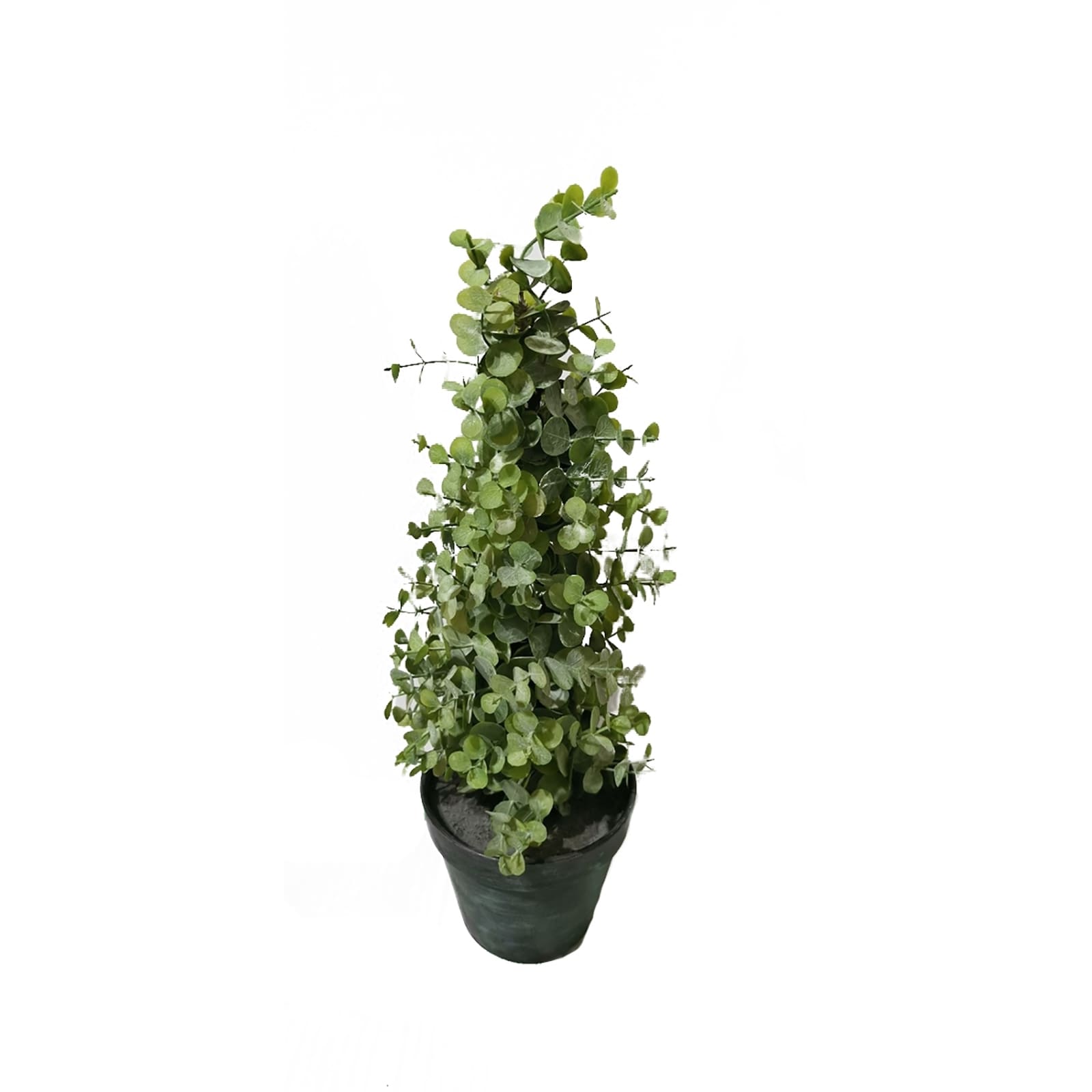 HTI-Living Eukalyptusb&auml;umchen 43 cm Kunstpflanze Flora 