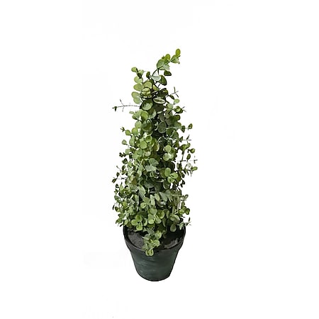 HTI-Living Eukalyptusbäumchen 43 cm Kunstpflanze Flora 