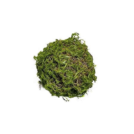 HTI-Living Mooskugel 18 cm Kunstpflanze Flora 
