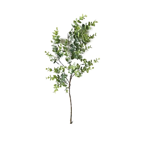 HTI-Living Eukalyptusstengel 50 cm Kunstpflanze Flora 