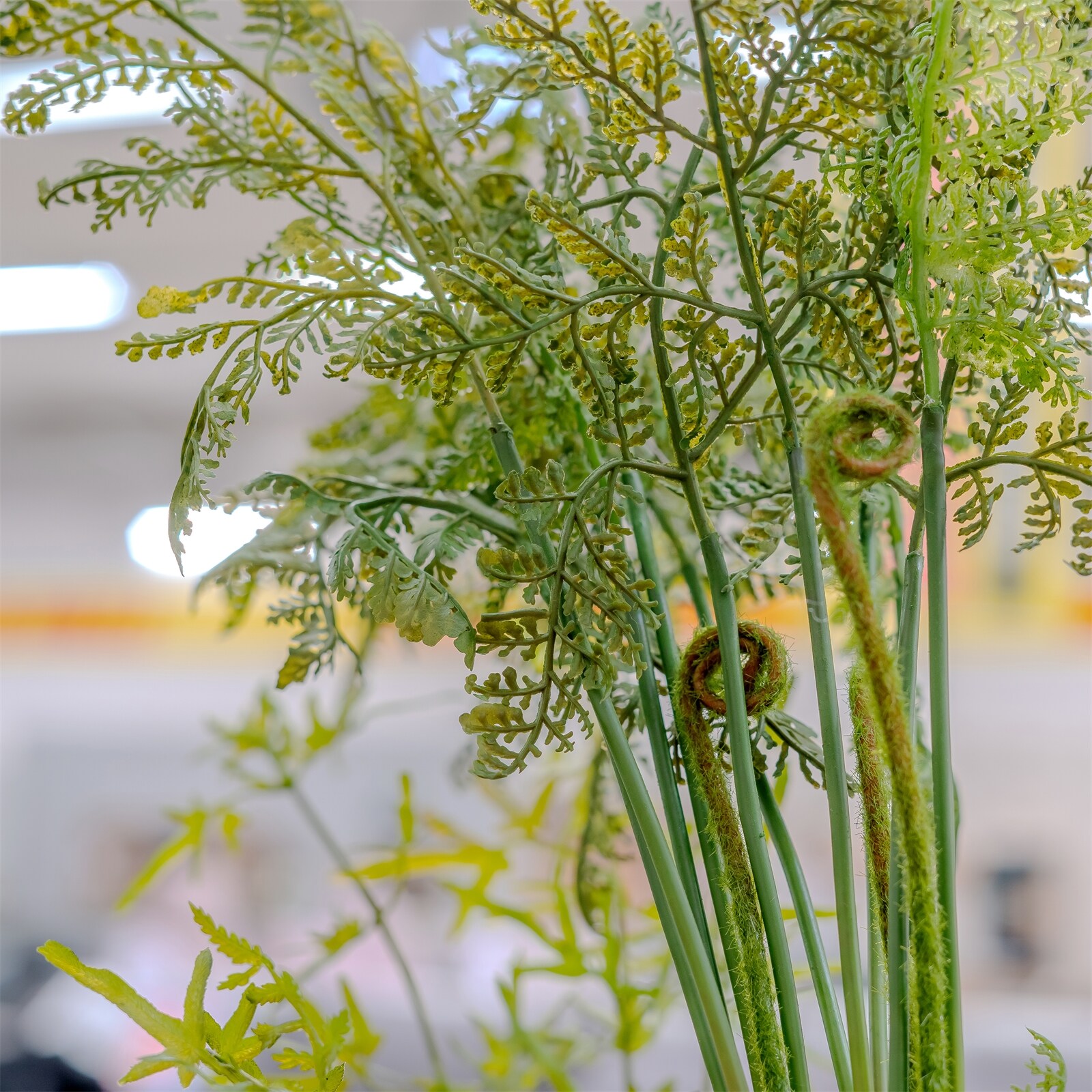 HTI-Living Kunstpflanze Farn-Busch Flora