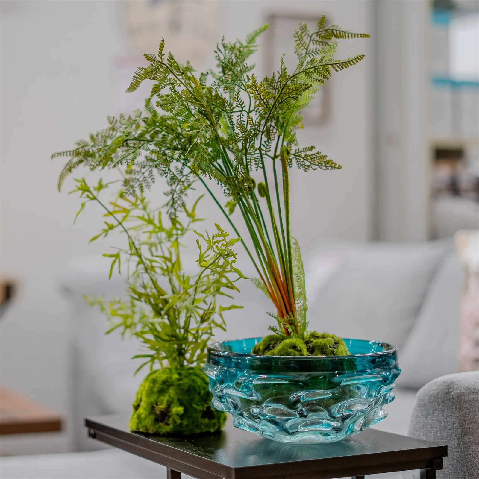 HTI-Living Kunstpflanze Farn-Busch Flora bei Marktkauf online bestellen