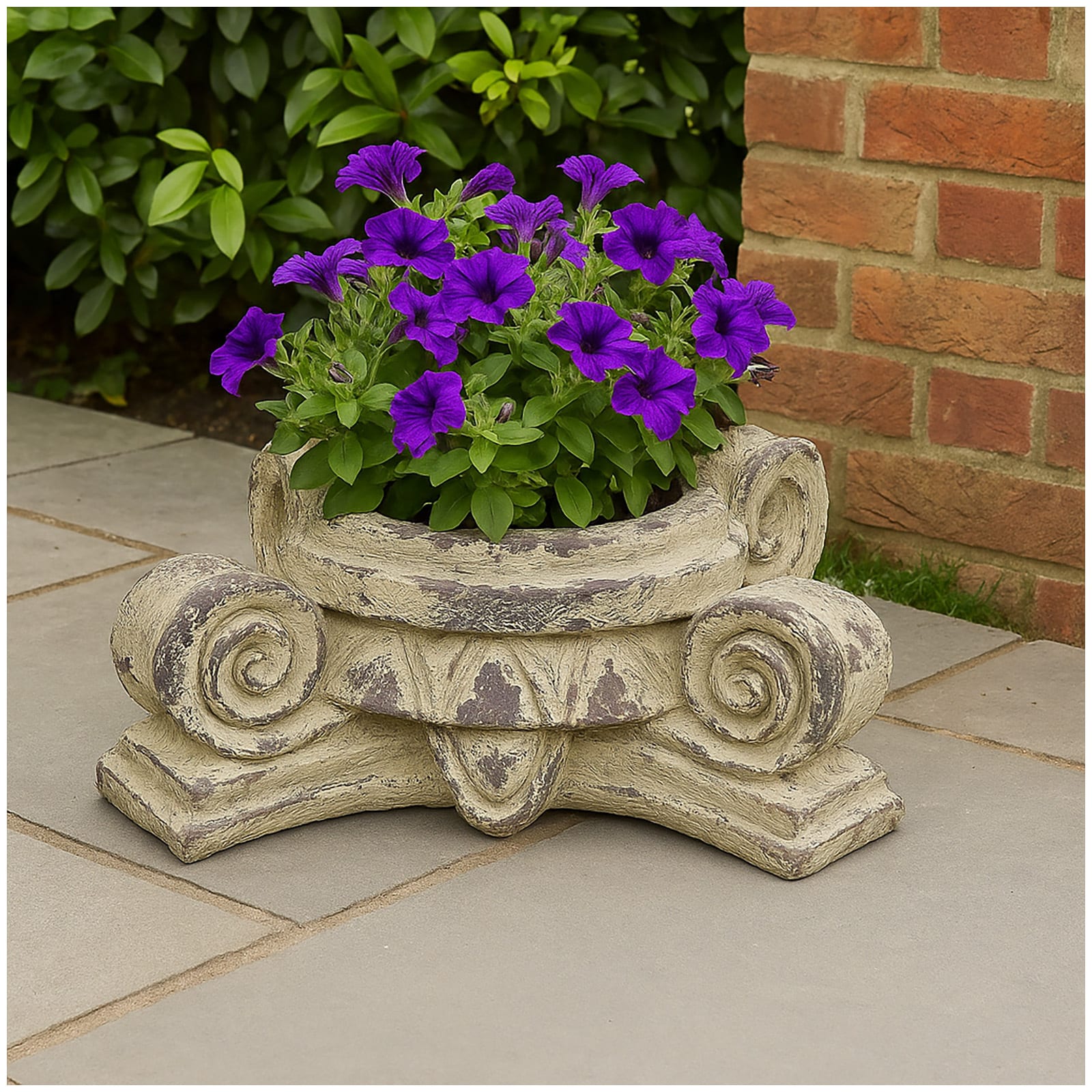 HTI-Living Pflanzgef&auml;&szlig; Apollon Blumenk&uuml;bel Volute 