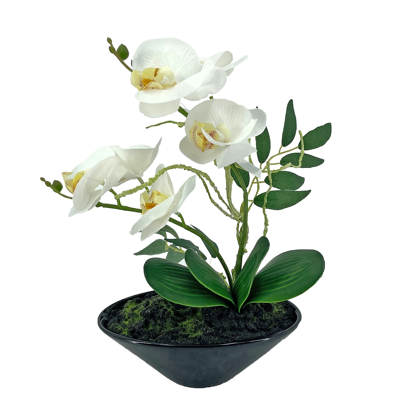 NTK-Collection Kunstblume Orchidee in Schale Leilani 