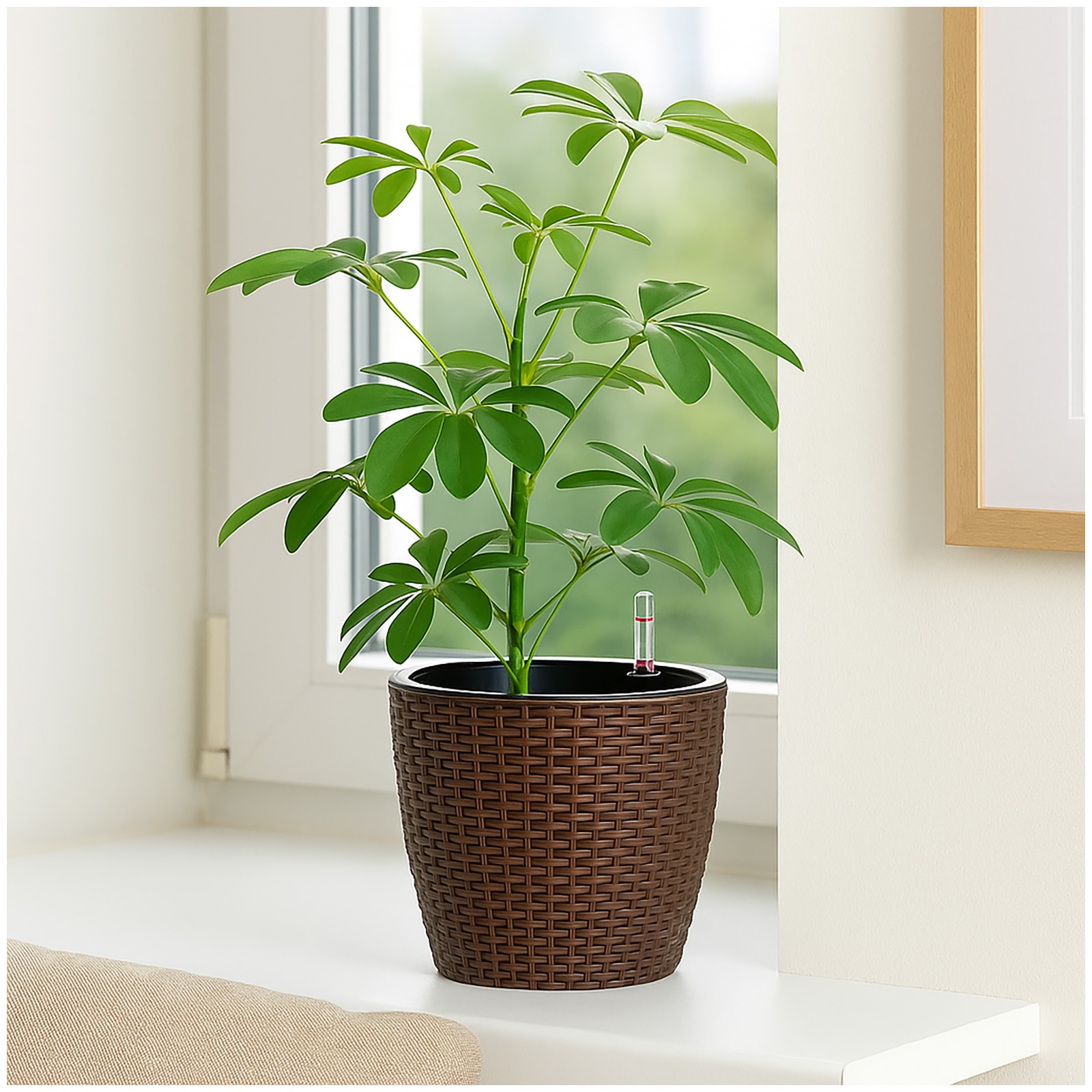 HTI-Living Blumentopf Nessa Hydro 21,5 cm Braun 