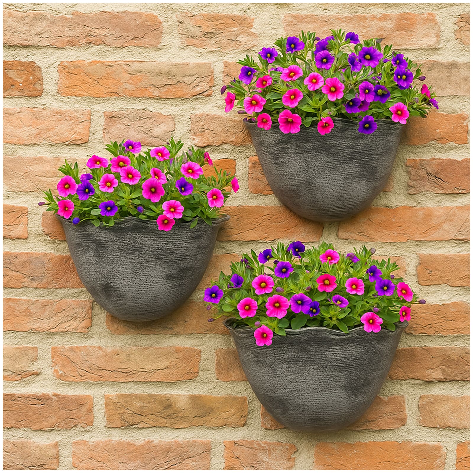 HTI-Living Pflanzschale Nessa Muschel Wandmontage 