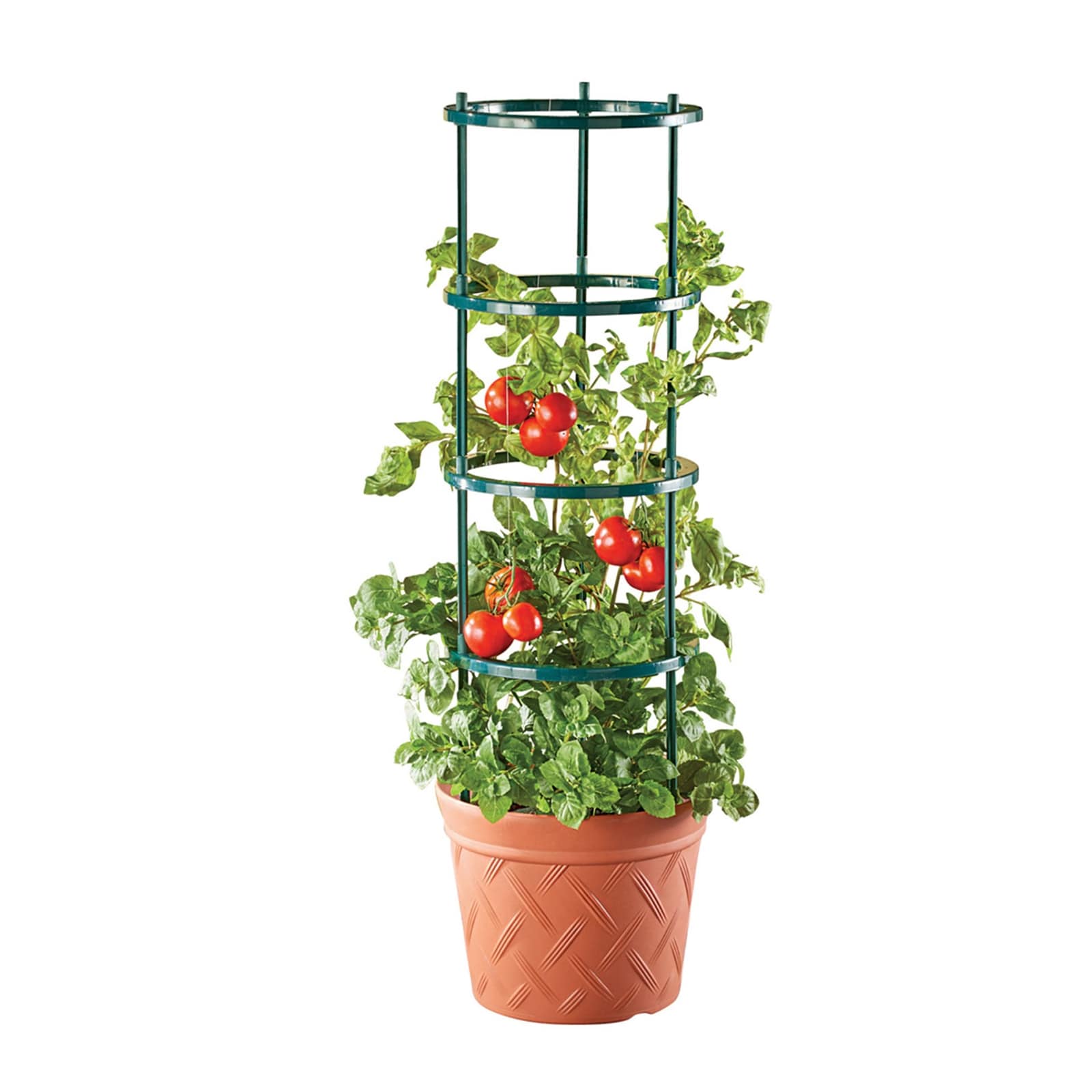 HTI-Living Pflanztopf Nessa Terracotta mit Rankhilfe 