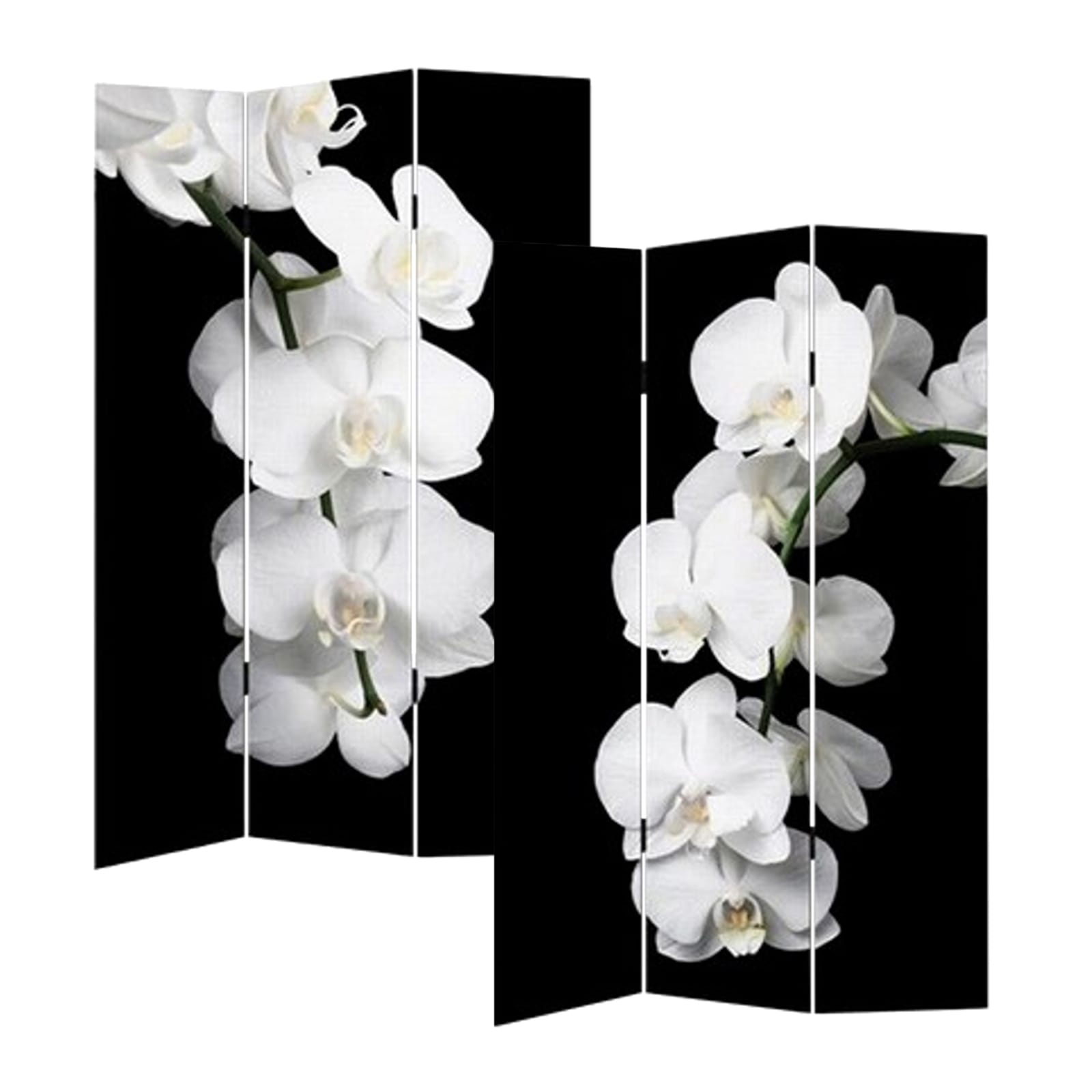 HTI-Line Paravent Orchidee 